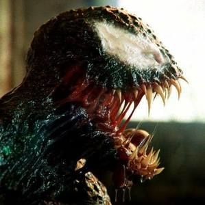 Meet your Posher, Niclas